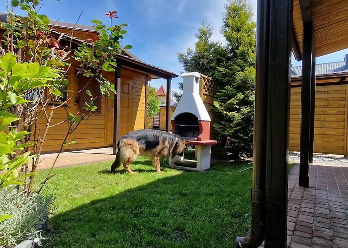 Letniskowe Liliowy Zakatek